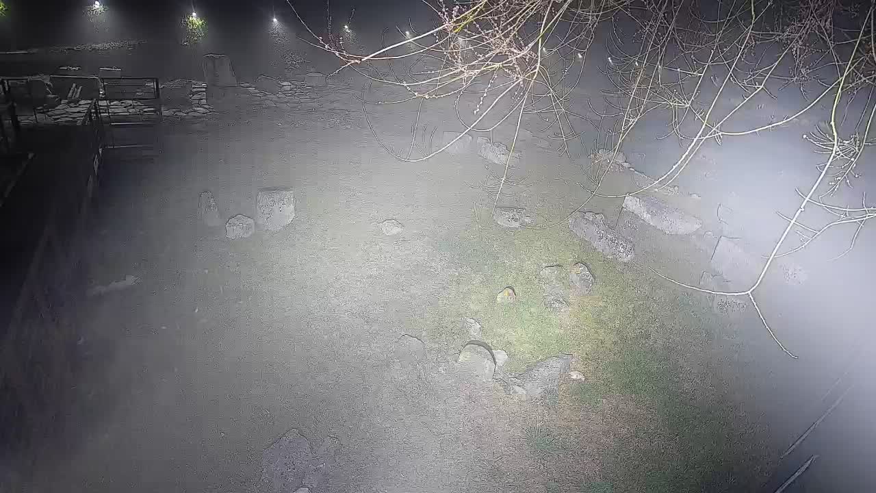 Aquileia – Decumano di Aratria Galla