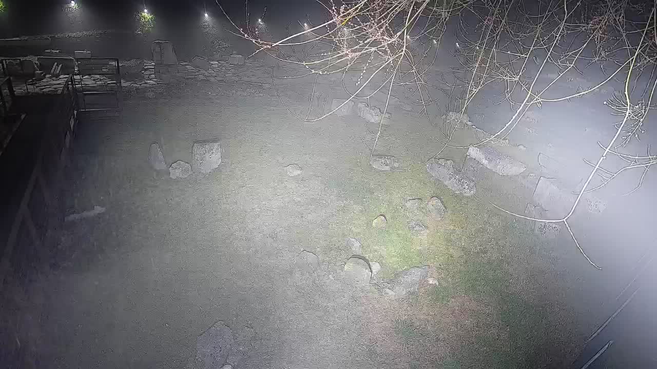 Aquileia – Decumano di Aratria Galla