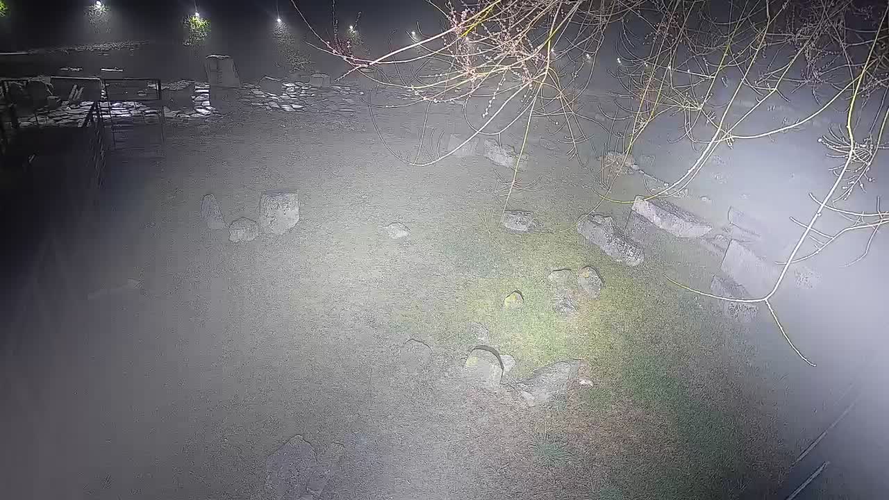 Aquileia – Decumano di Aratria Galla