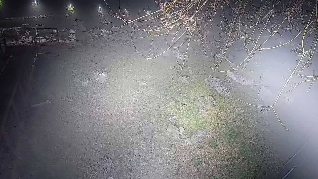 Aquileia – Decumano di Aratria Galla