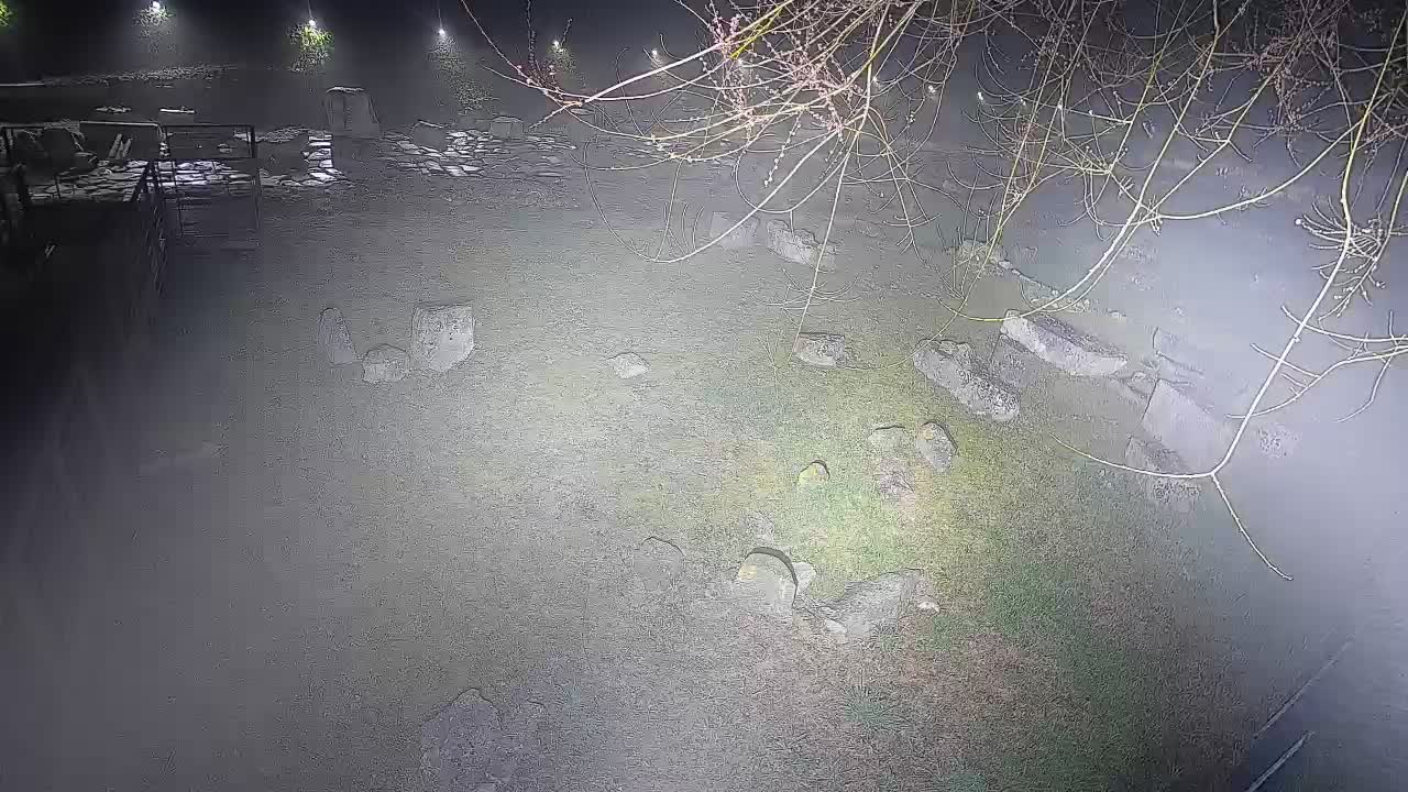 Aquileia – Decumano di Aratria Galla