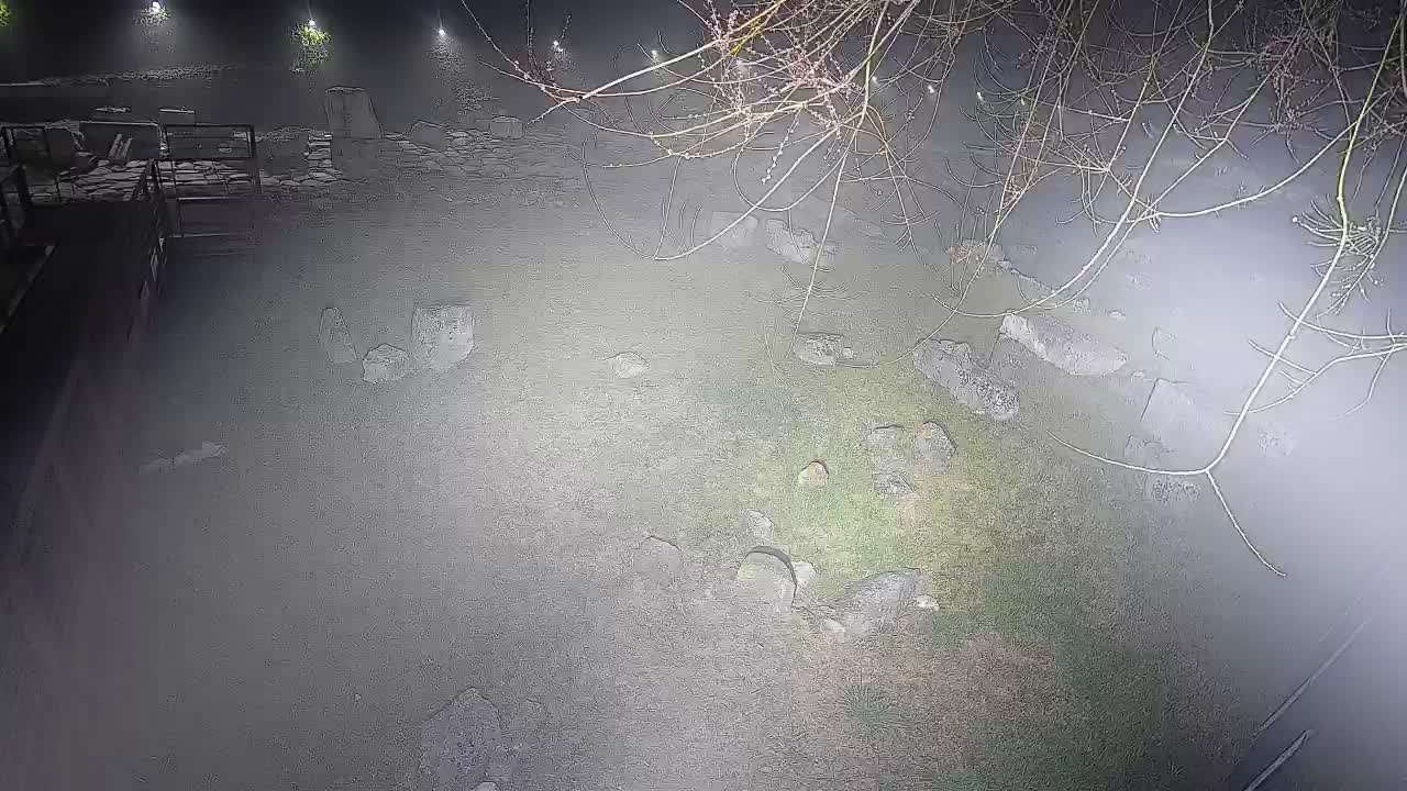 Aquileia – Decumano di Aratria Galla