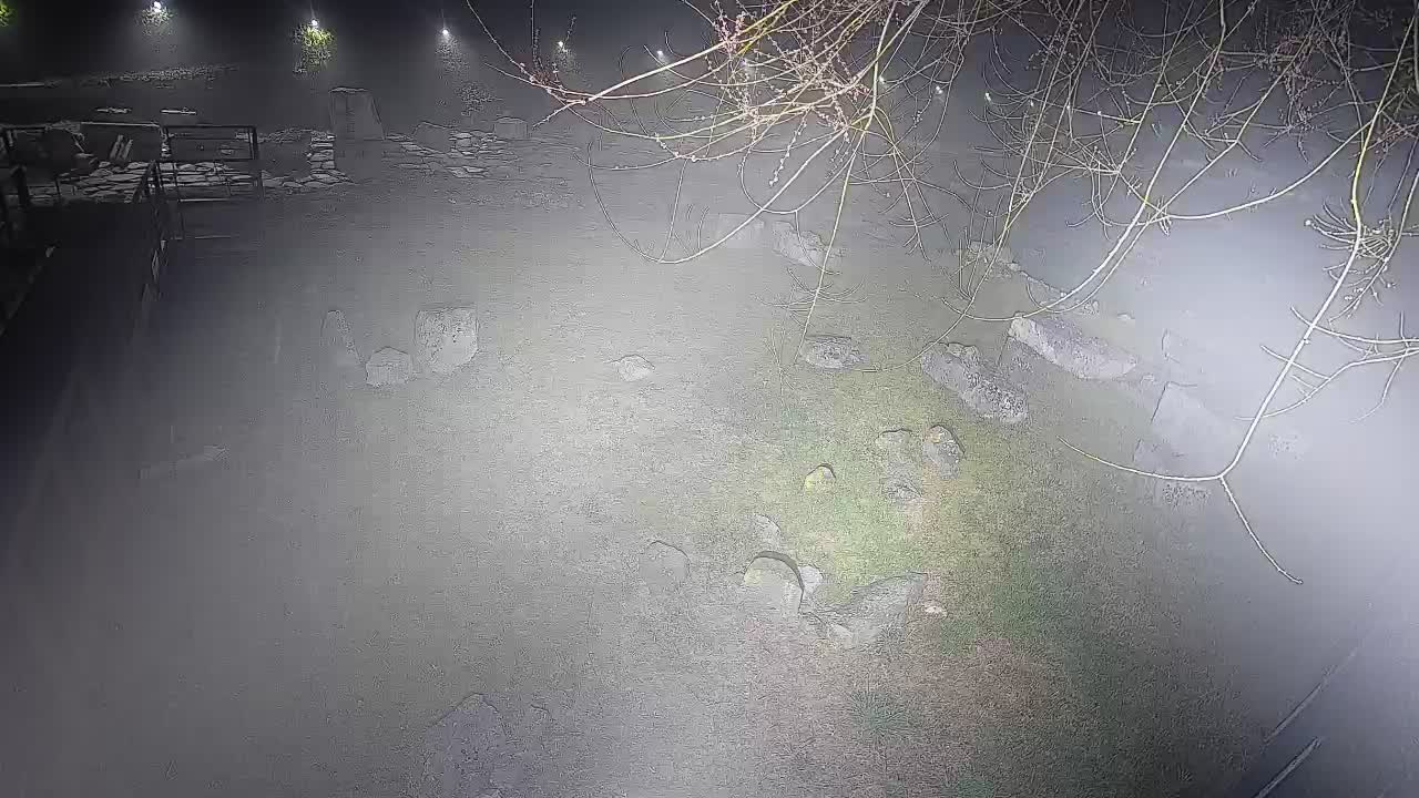 Aquileia – Decumano di Aratria Galla