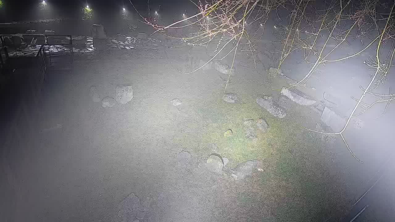 Aquileia – Decumano di Aratria Galla