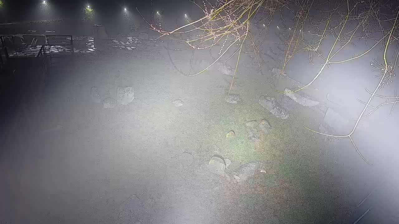 Akvileja – Decumano di Aratria Galla