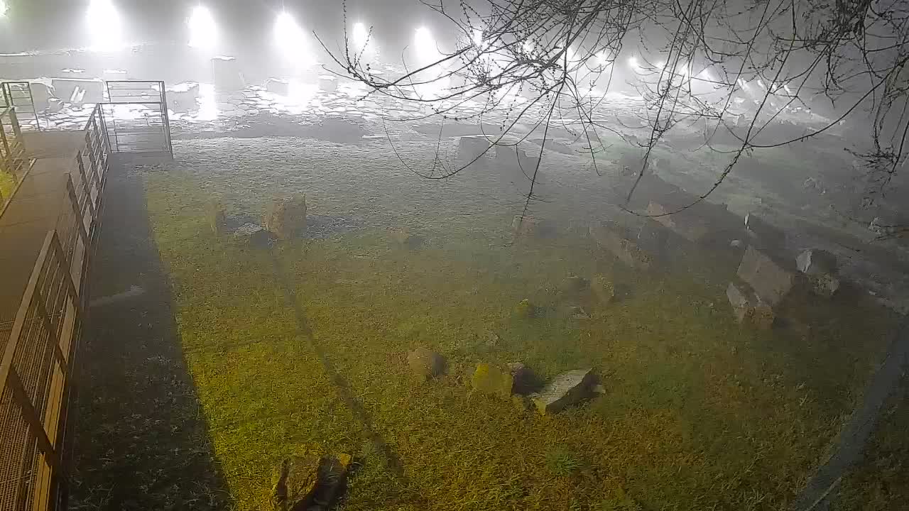 Aquileia – Decumano di Aratria Galla