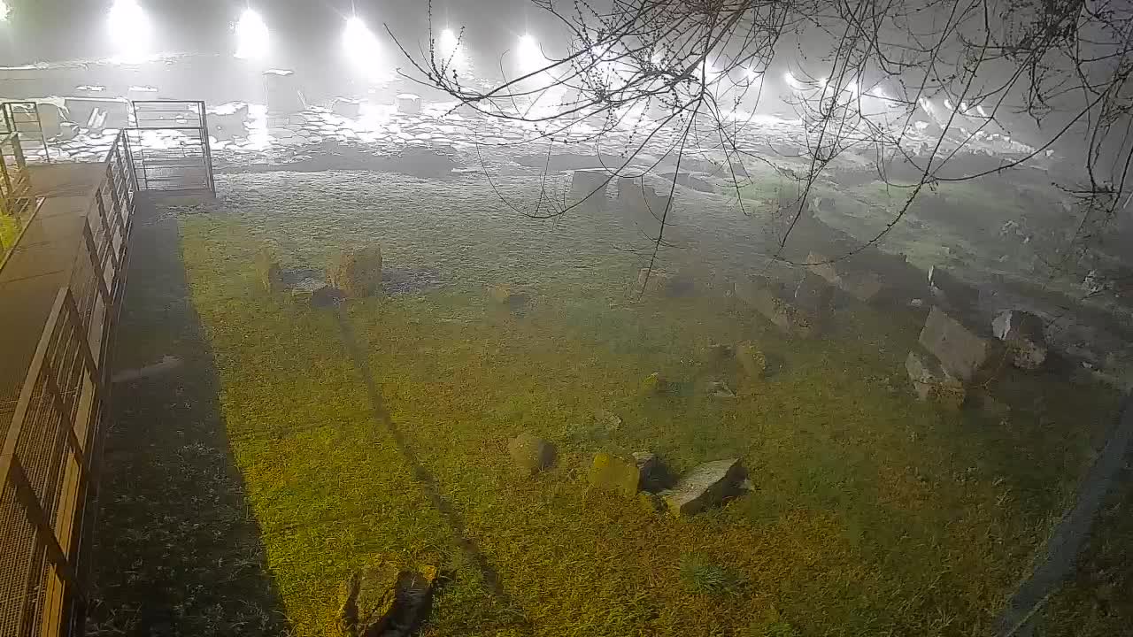 Aquileia – Decumano di Aratria Galla