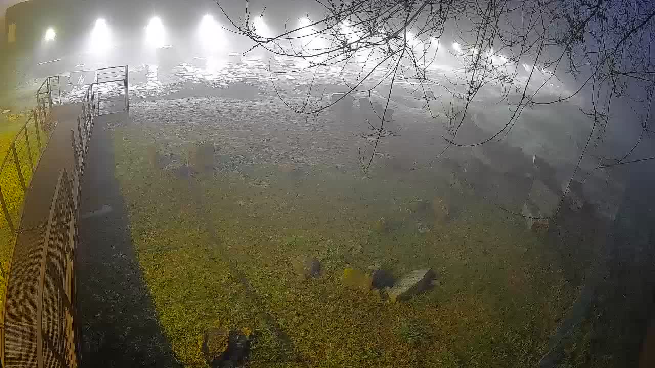 Aquileia – Decumano di Aratria Galla