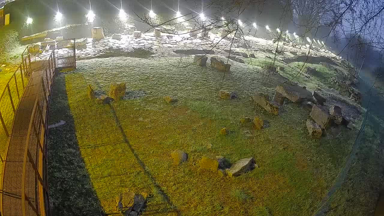 Aquileia – Decumano di Aratria Galla