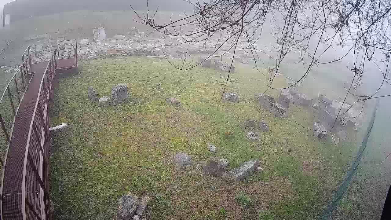 Aquileia – Decumano di Aratria Galla