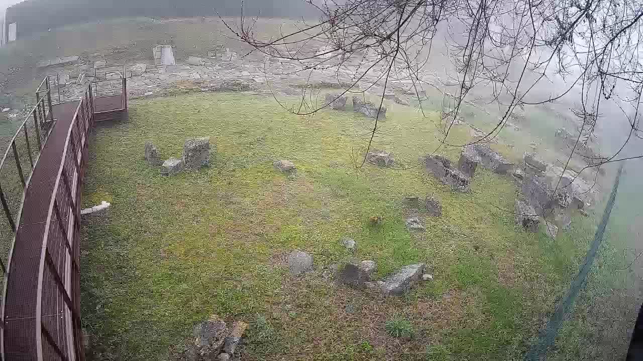 Akvileja – Decumano di Aratria Galla