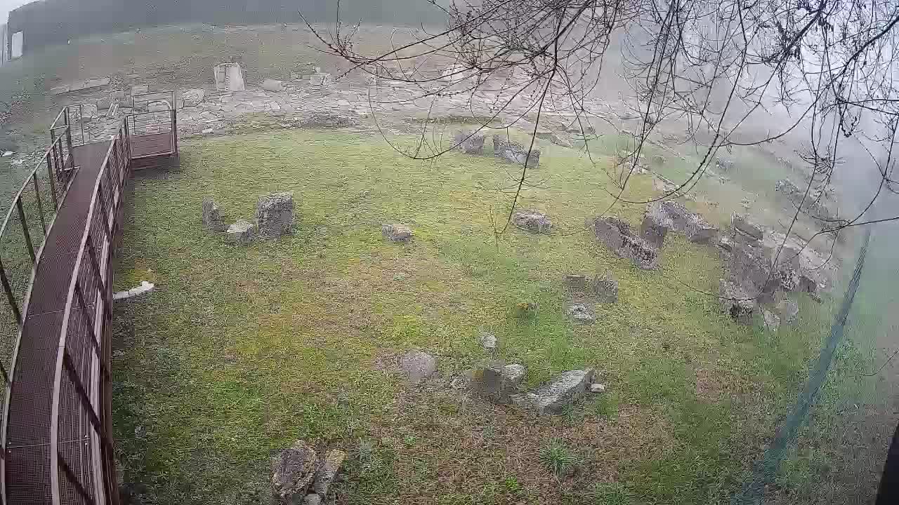 Aquileia – Decumano di Aratria Galla