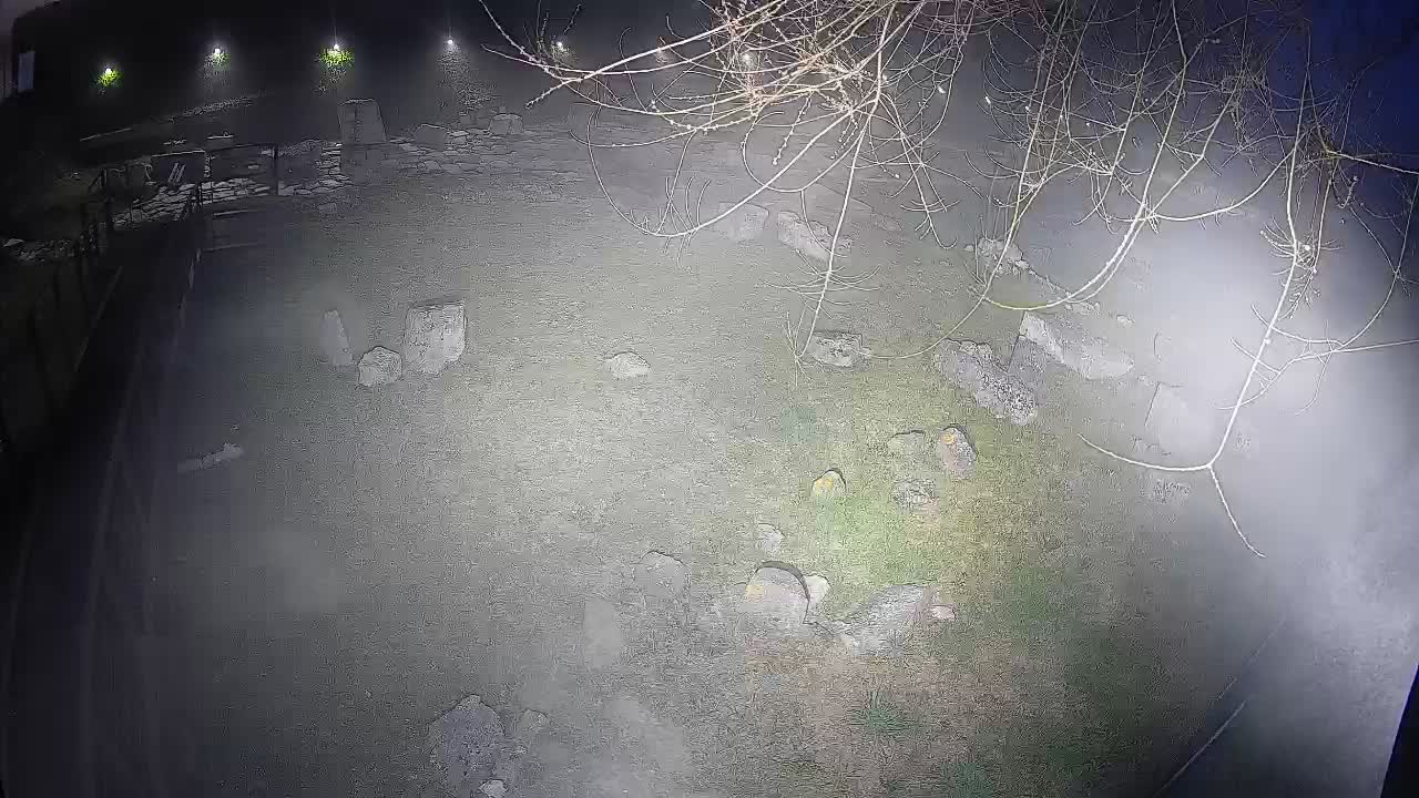 Akvileja – Decumano di Aratria Galla