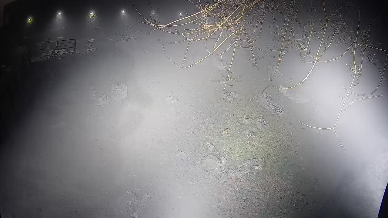 Aquileia – Decumano di Aratria Galla