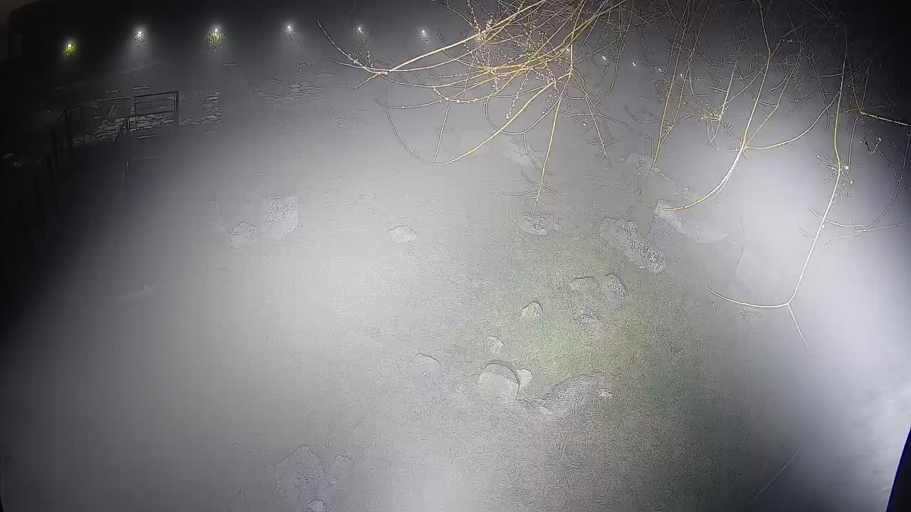 Aquileia – Decumano di Aratria Galla