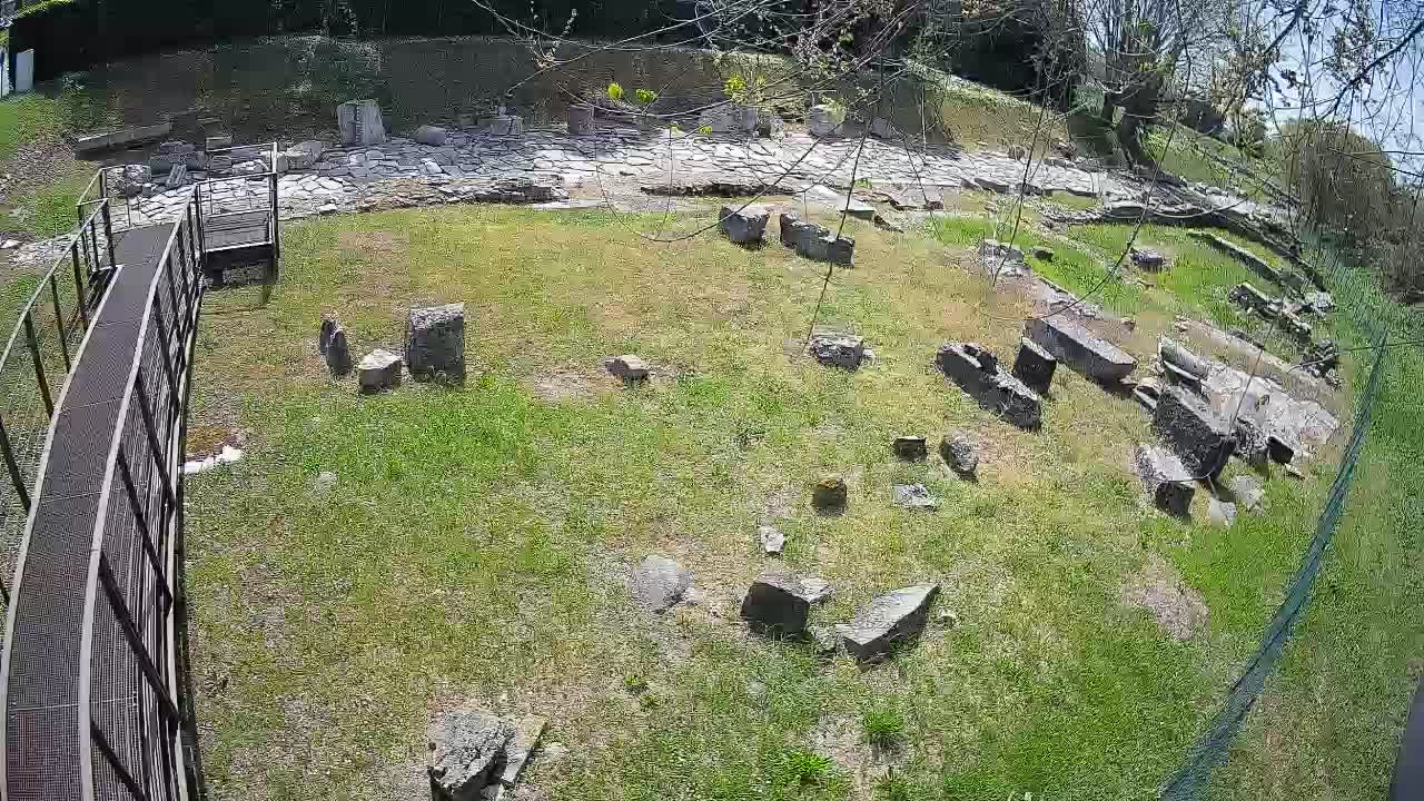 Aquileia – Decumano di Aratria Galla