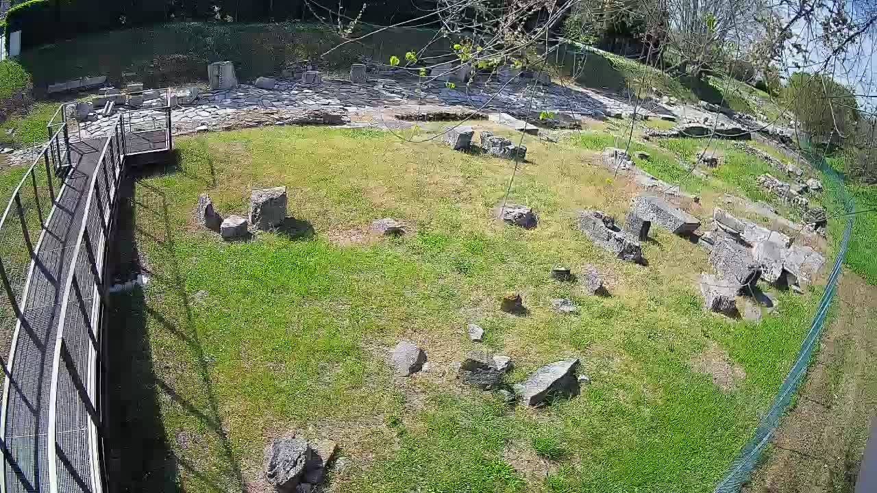 Aquileia – Decumano di Aratria Galla