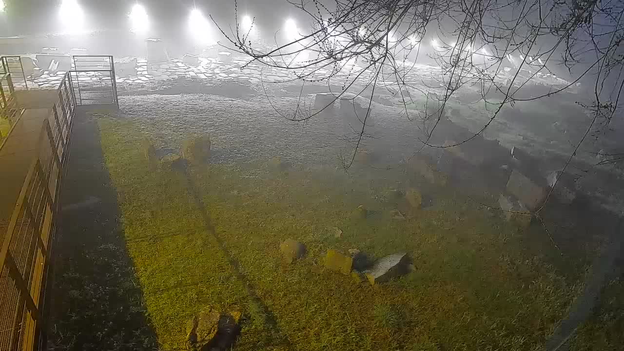 Akvileja – Decumano di Aratria Galla