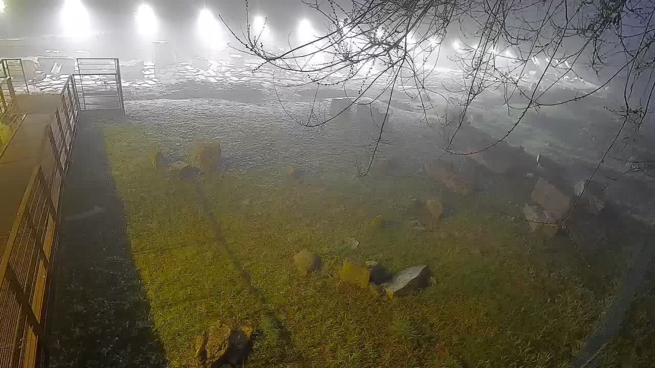 Aquileia – Decumano di Aratria Galla