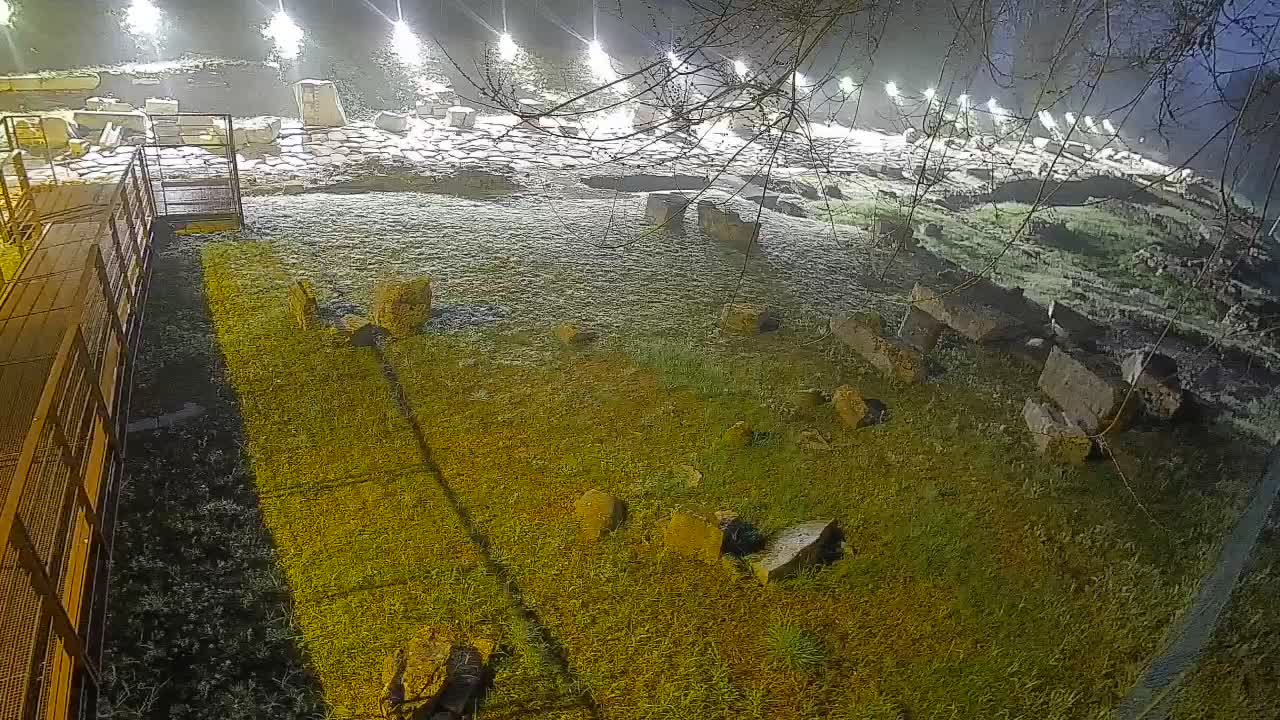 Aquileia – Decumano di Aratria Galla