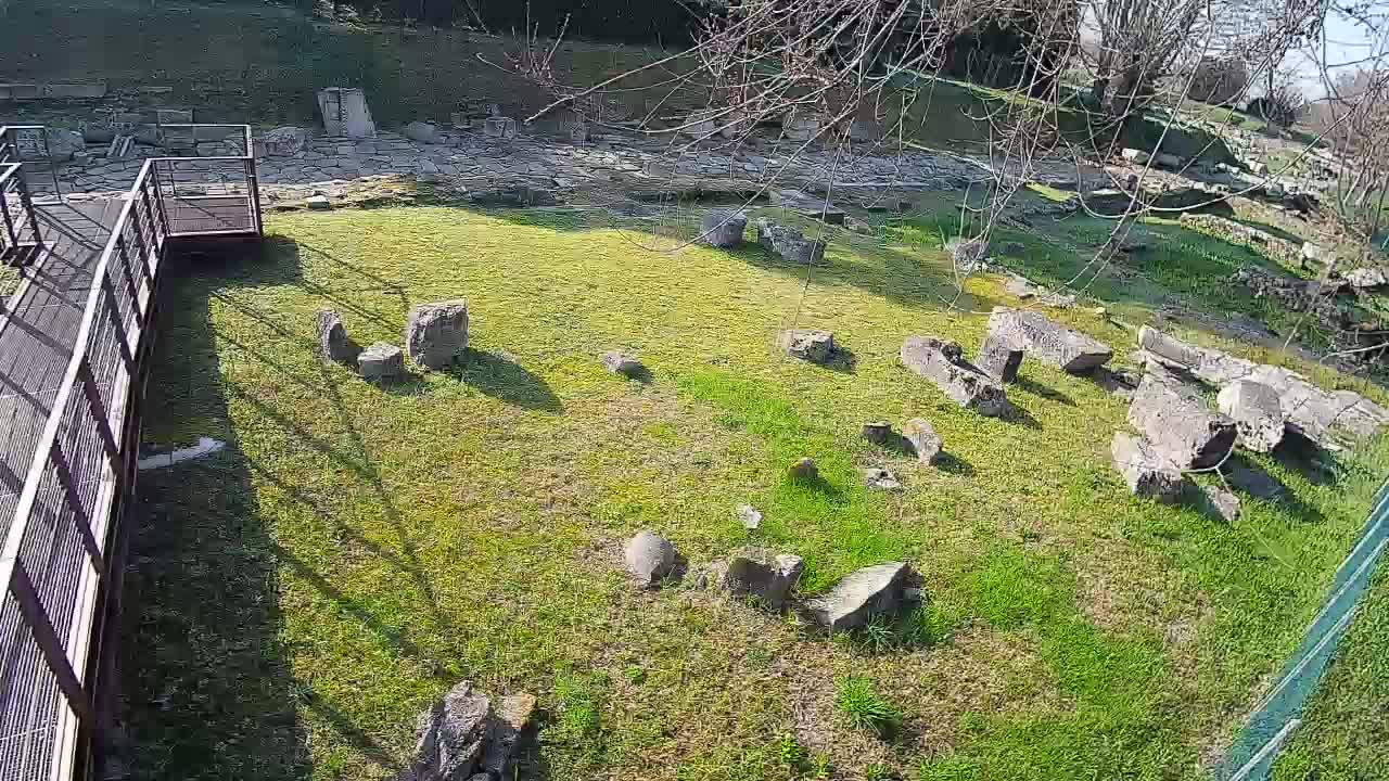 Akvileja – Decumano di Aratria Galla