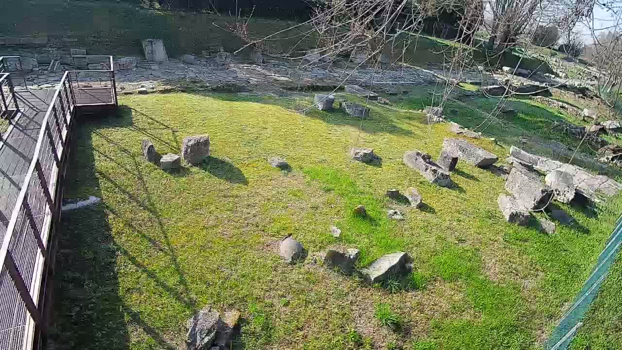 Aquileia – Decumano di Aratria Galla