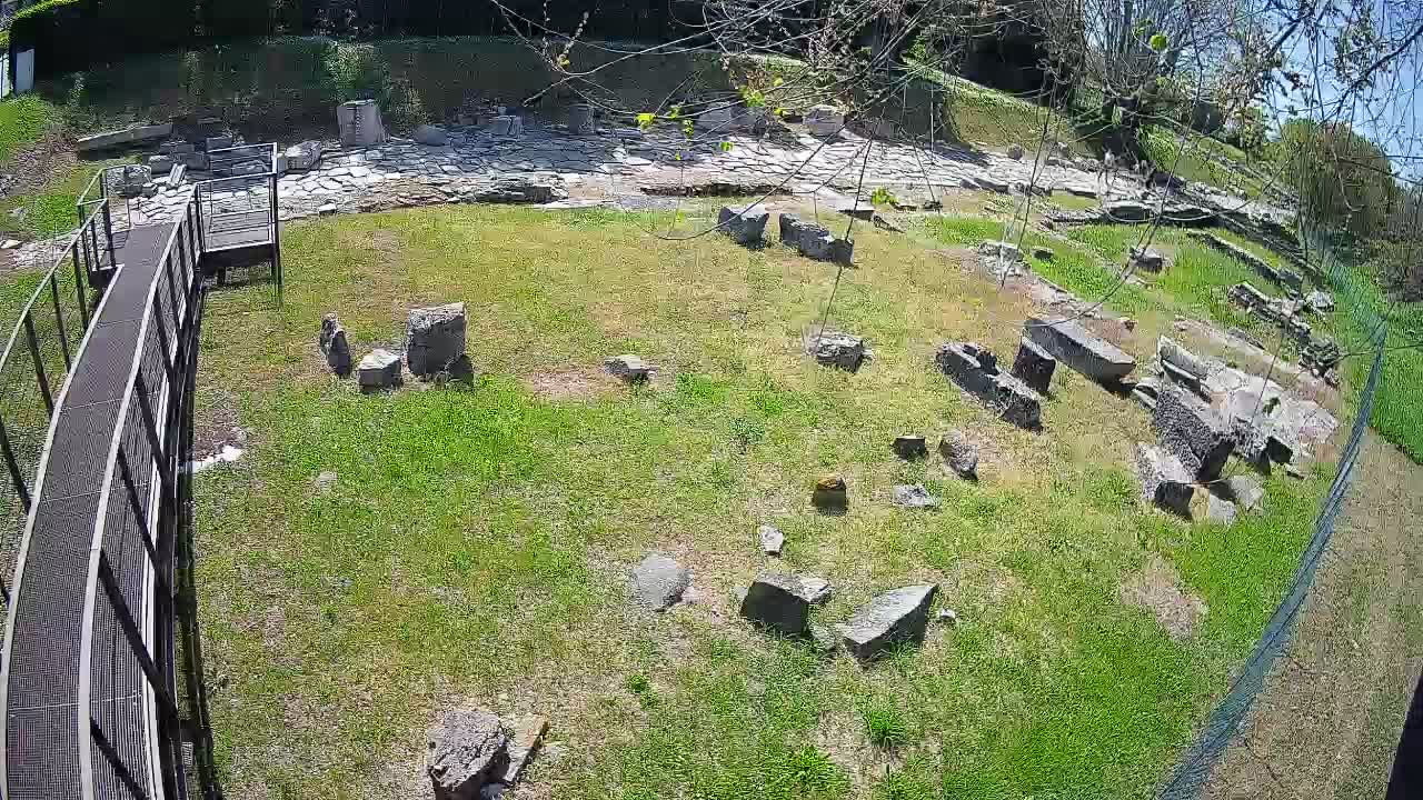 Aquileia – Decumano di Aratria Galla