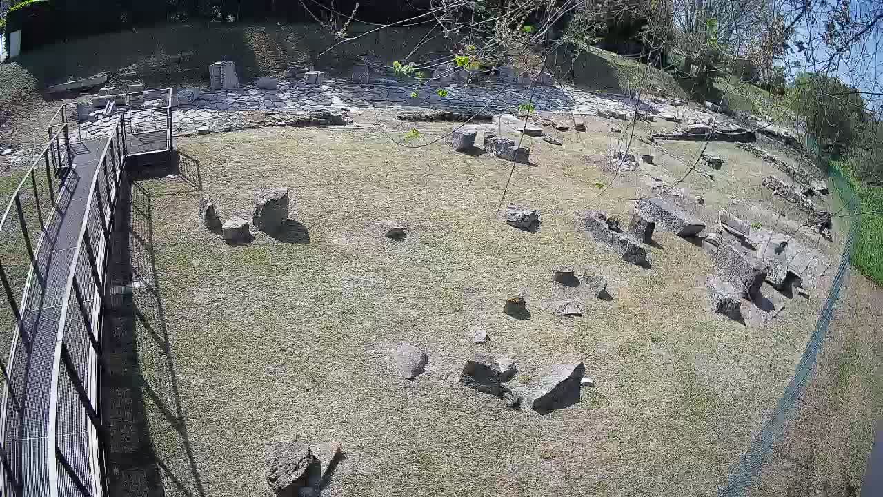 Akvileja – Decumano di Aratria Galla