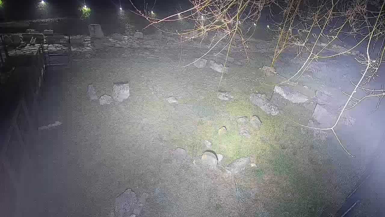 Akvileja – Decumano di Aratria Galla