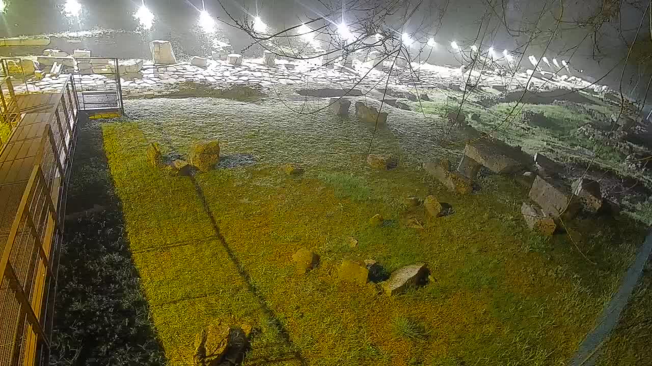 Aquileia – Decumano di Aratria Galla