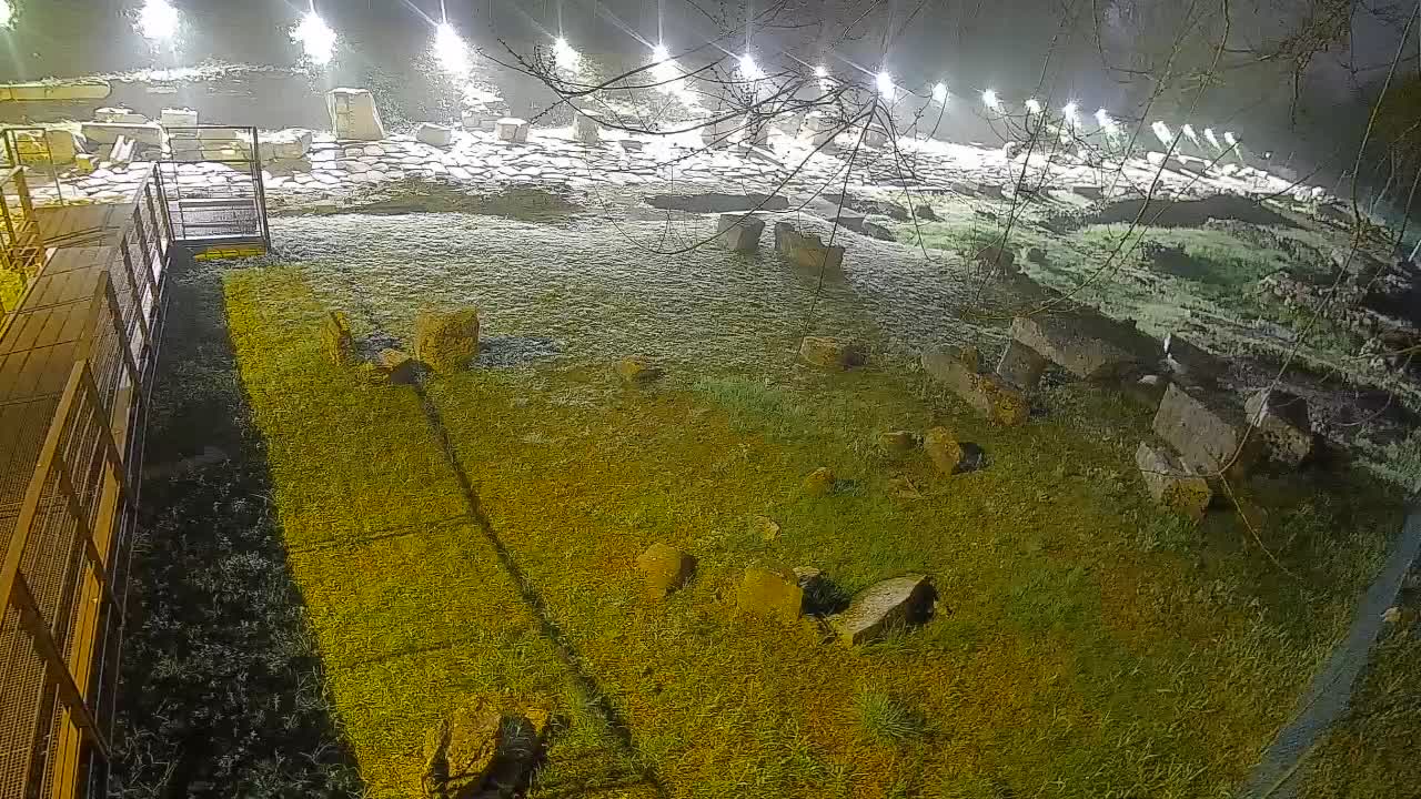 Aquileia – Decumano di Aratria Galla