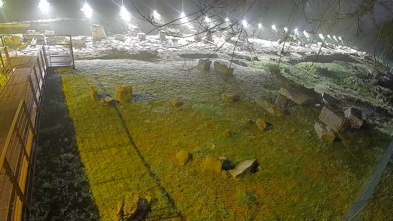 Oglej – Decumano Aratria Galla