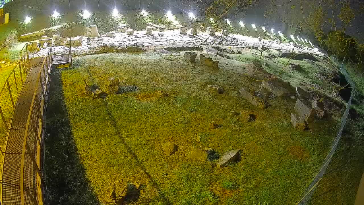 Aquileia – Decumano di Aratria Galla