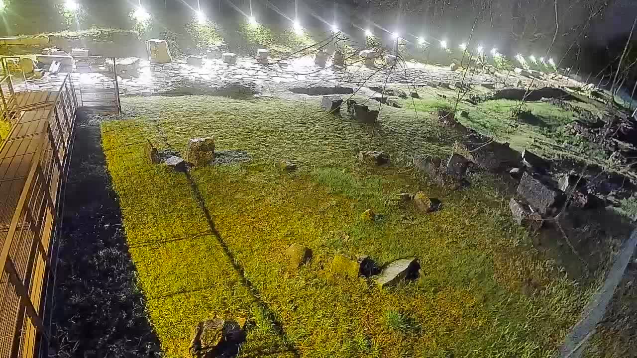 Akvileja – Decumano di Aratria Galla