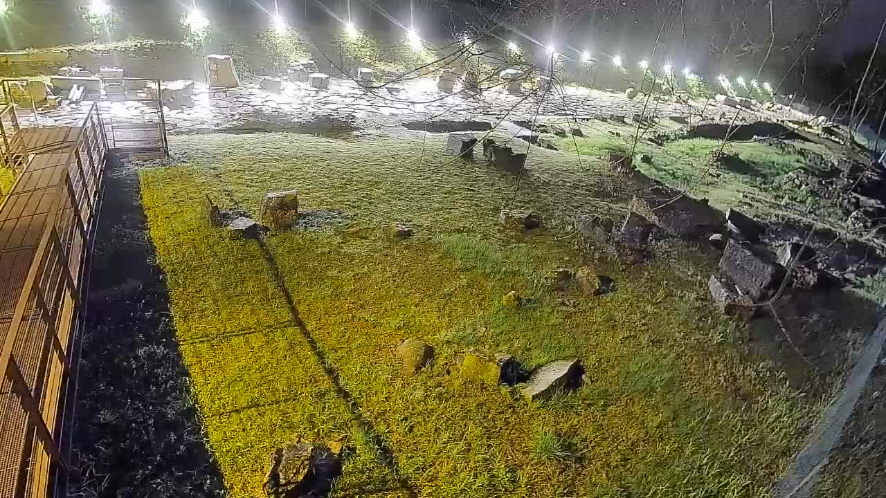 Aquileia – Decumano di Aratria Galla