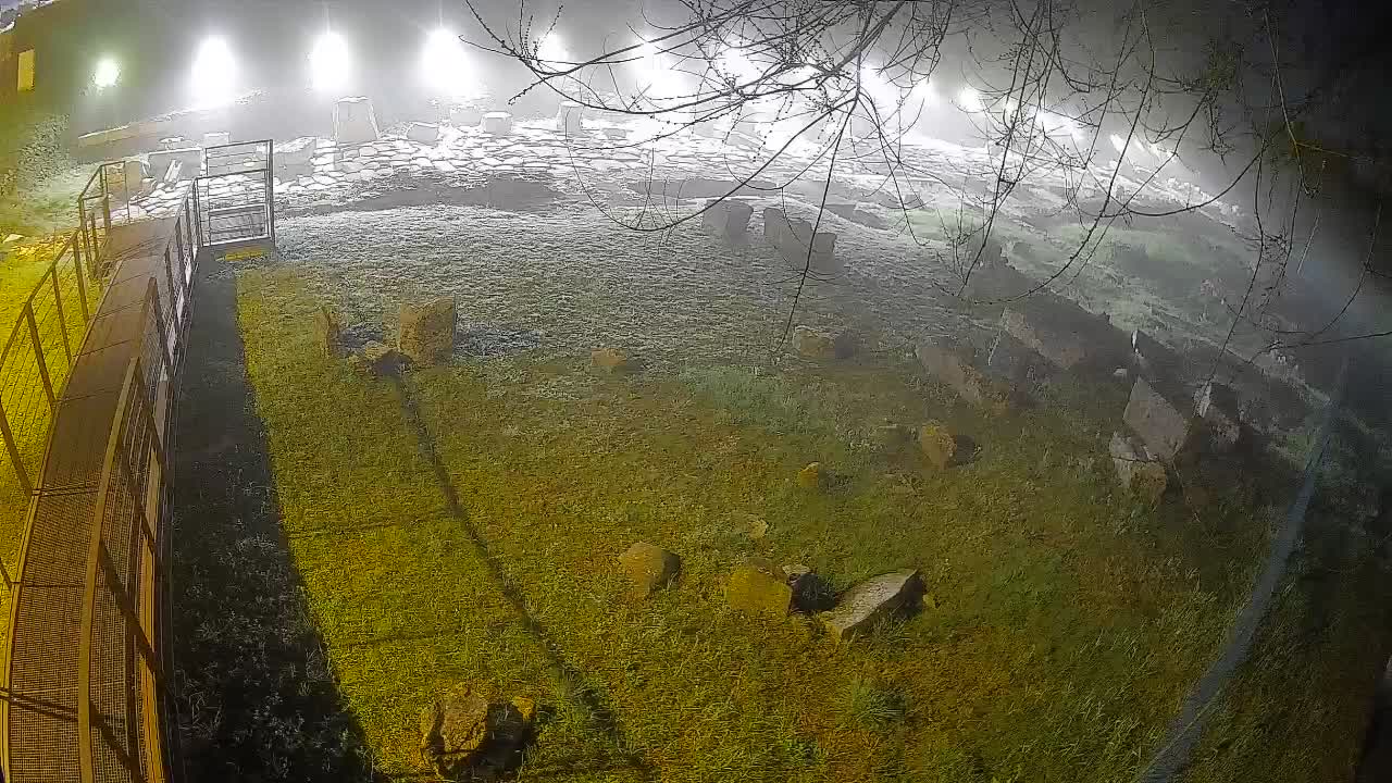 Aquileia – Decumano di Aratria Galla