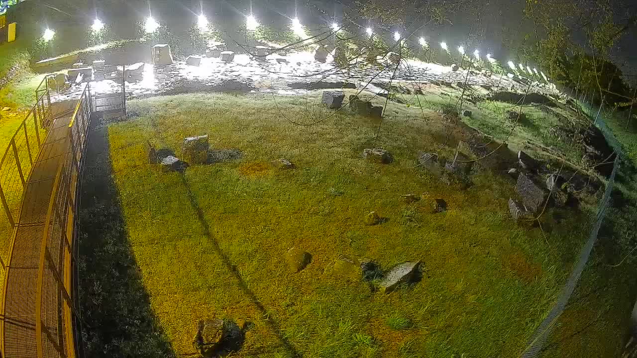 Aquileia – Decumano di Aratria Galla