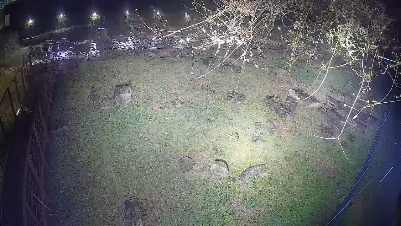 Aquileia – Decumano di Aratria Galla