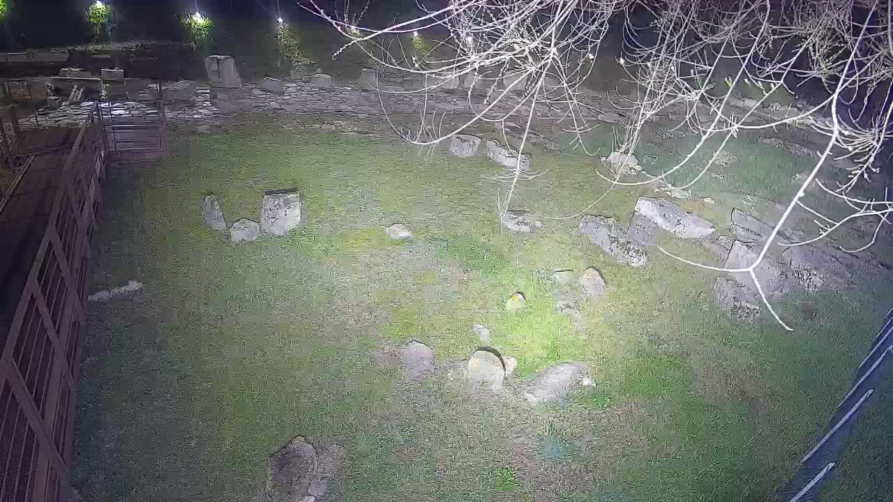 Aquileia – Decumano di Aratria Galla