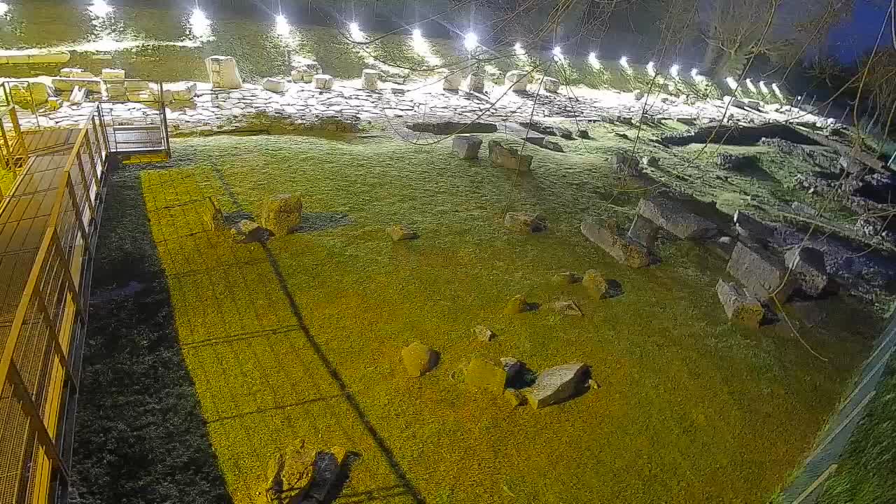 Aquileia – Decumano di Aratria Galla