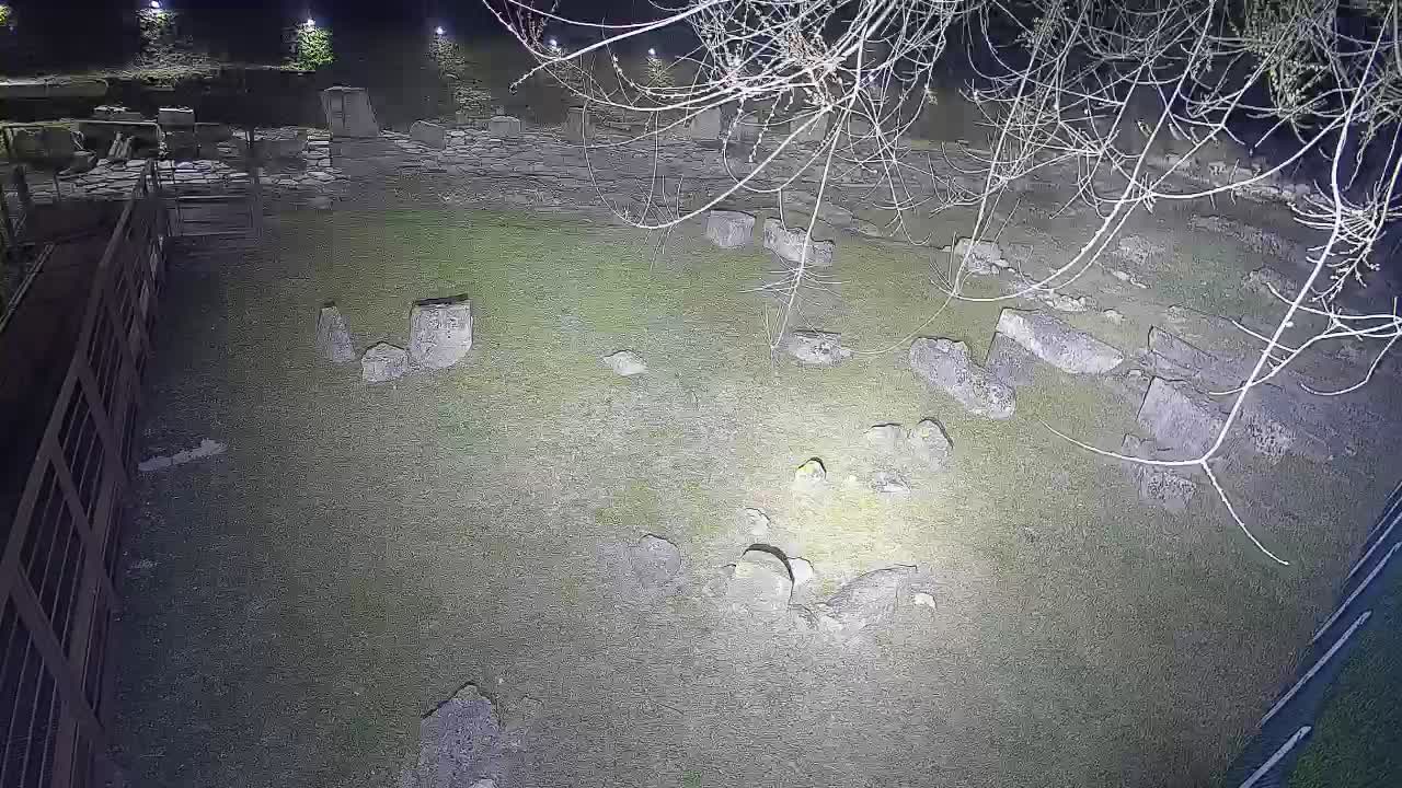 Aquileia – Decumano di Aratria Galla