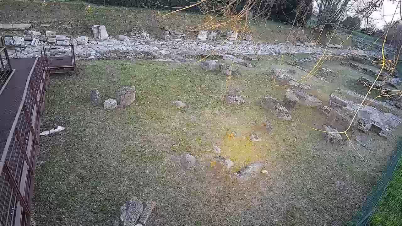 Aquileia – Decumano di Aratria Galla