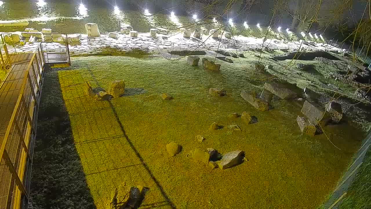 Aquileia – Decumano di Aratria Galla