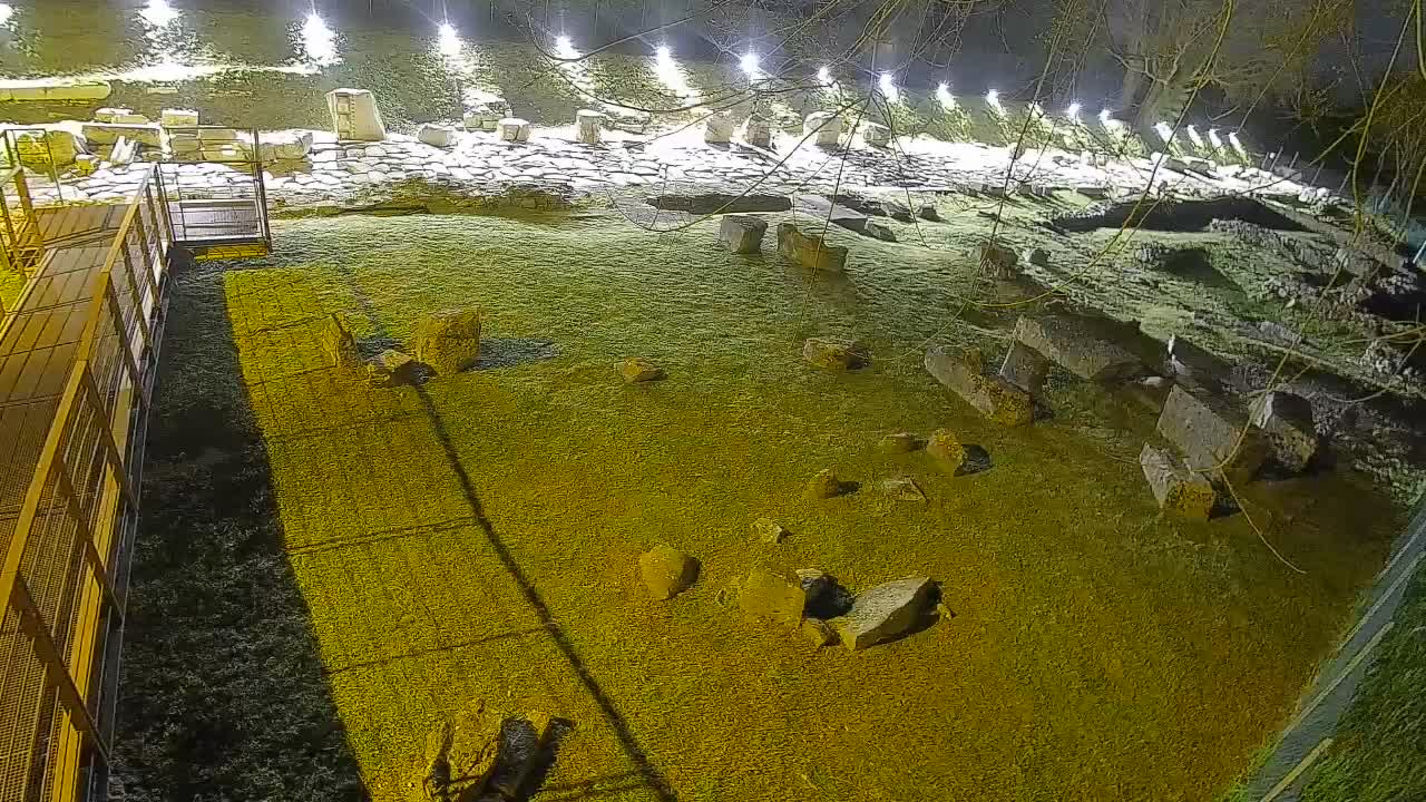 Aquileia – Decumano di Aratria Galla