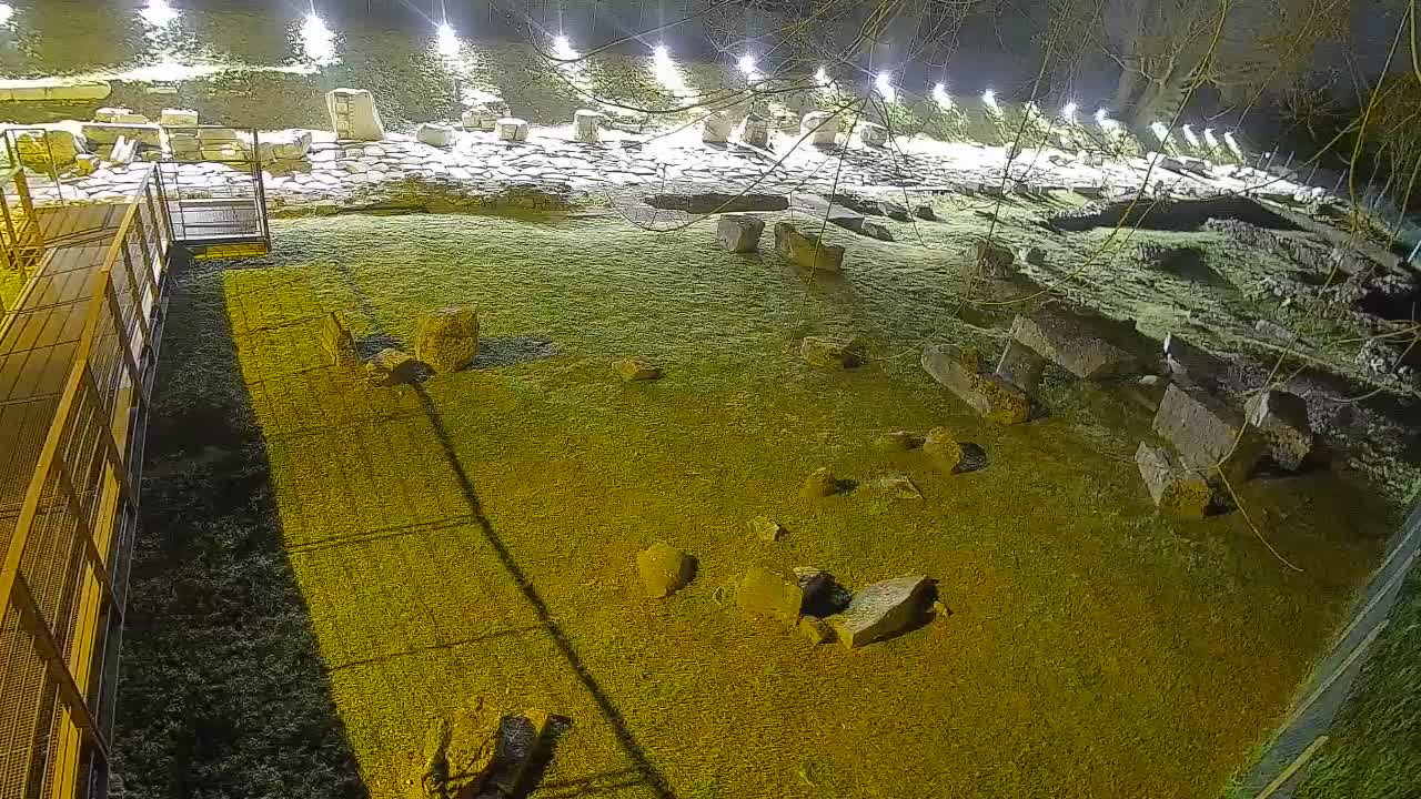 Aquileia – Decumano di Aratria Galla