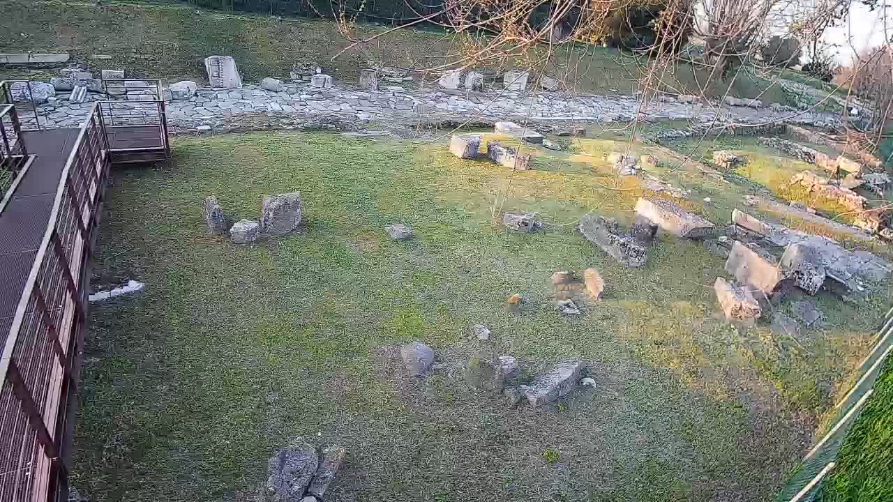 Akvileja – Decumano di Aratria Galla