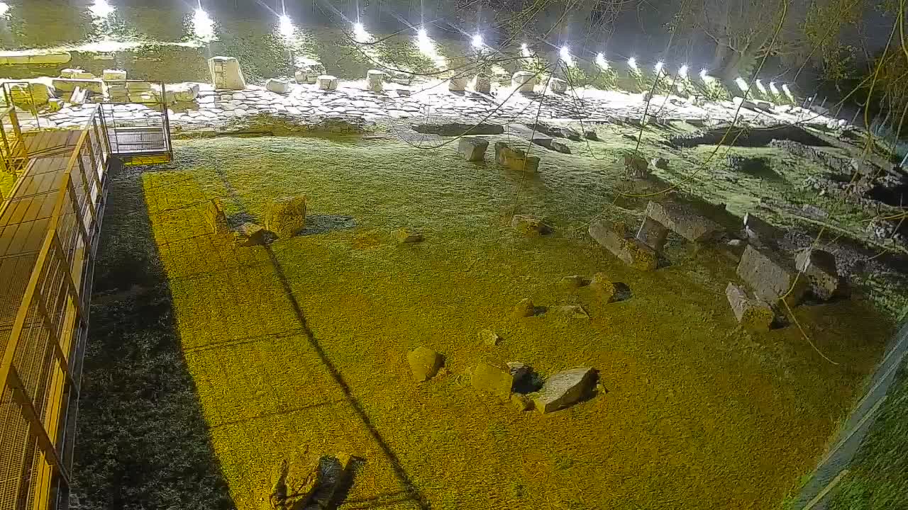 Akvileja – Decumano di Aratria Galla