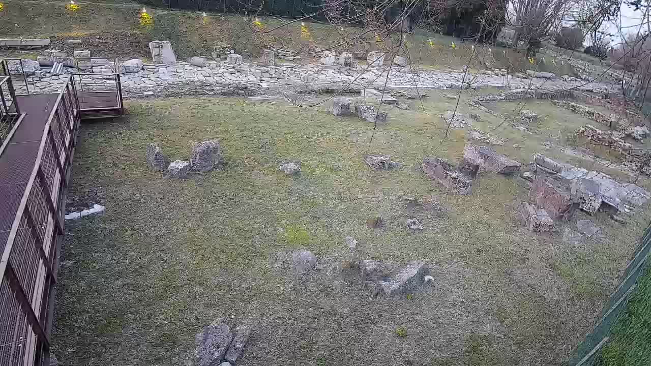 Aquileia – Decumano di Aratria Galla