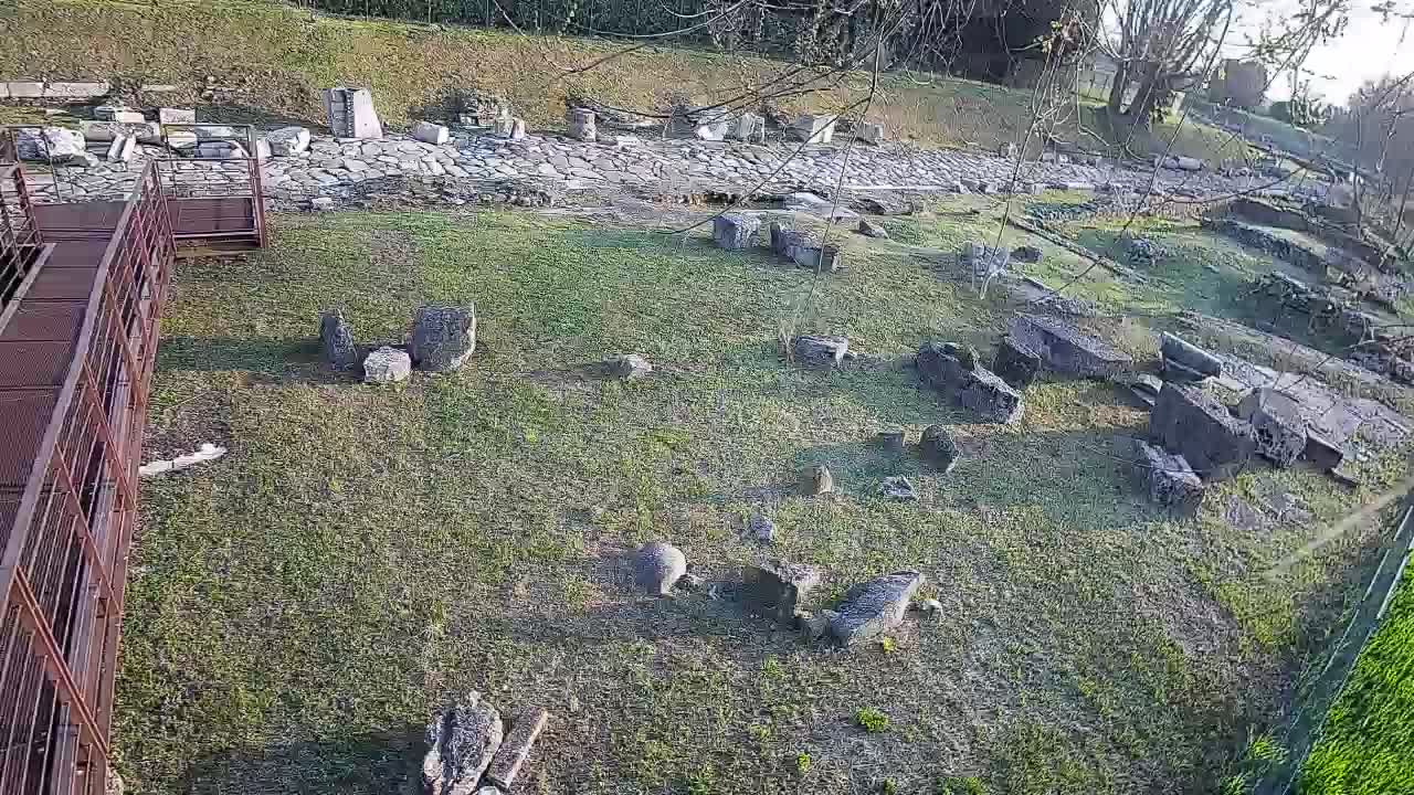 Akvileja – Decumano di Aratria Galla