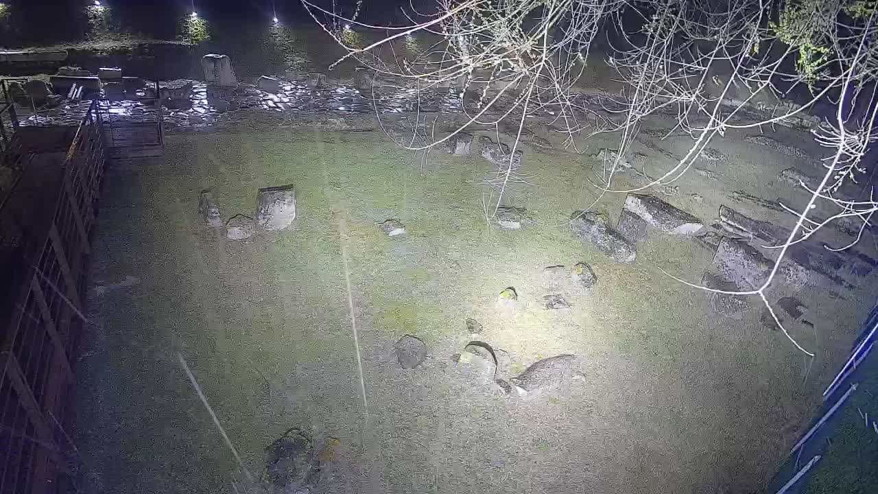 Aquileia – Decumano di Aratria Galla